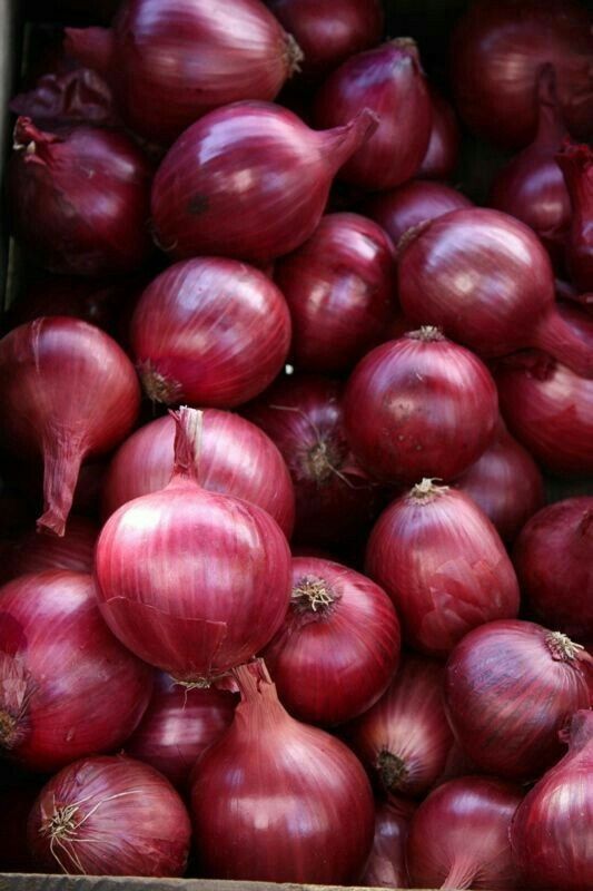 Premium Export Quality Onions